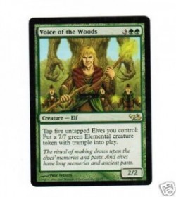 1x Voice of the Woods ! Duel Decks EvG ! engl. NM